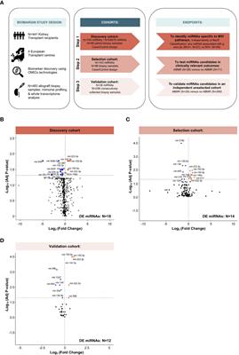 <mark class="highlighted">Integrative Omics Analysis</mark> Unravels Microvascular Inflammation-Related Pathways in Kidney Allograft Biopsies